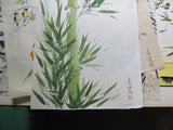 ART: Eunice Harris Watercolor, Bamboo