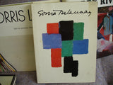 Book: Sonia Delaunay: A Retrospective